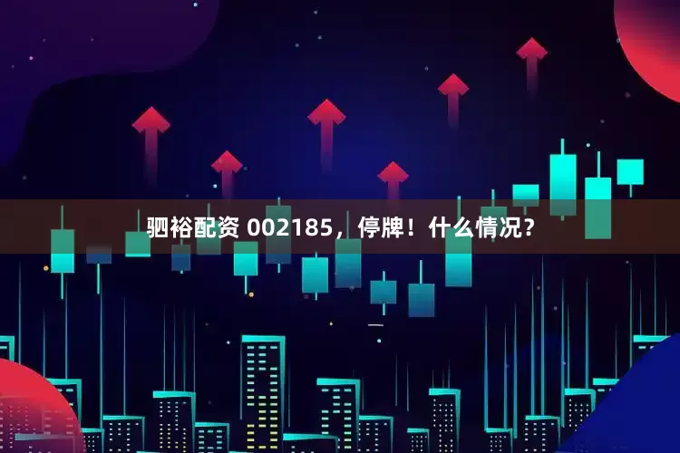 驷裕配资 002185，停牌！什么情况？