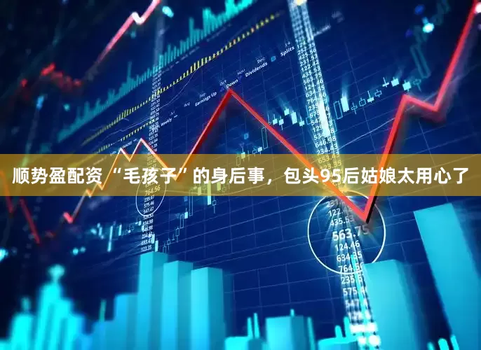 顺势盈配资 “毛孩子”的身后事，包头95后姑娘太用心了